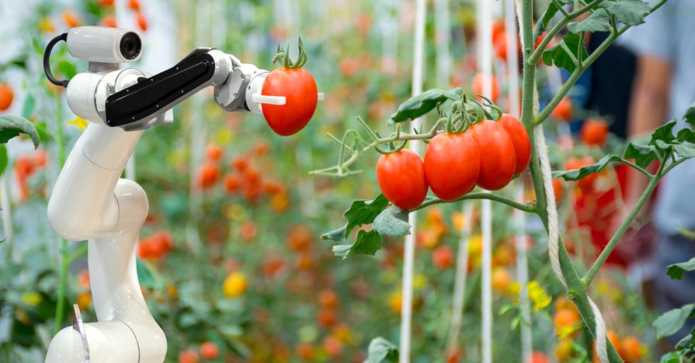 Computer Vision Agriculture