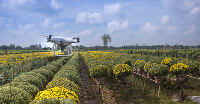 Drones Computer Vision Agriculture