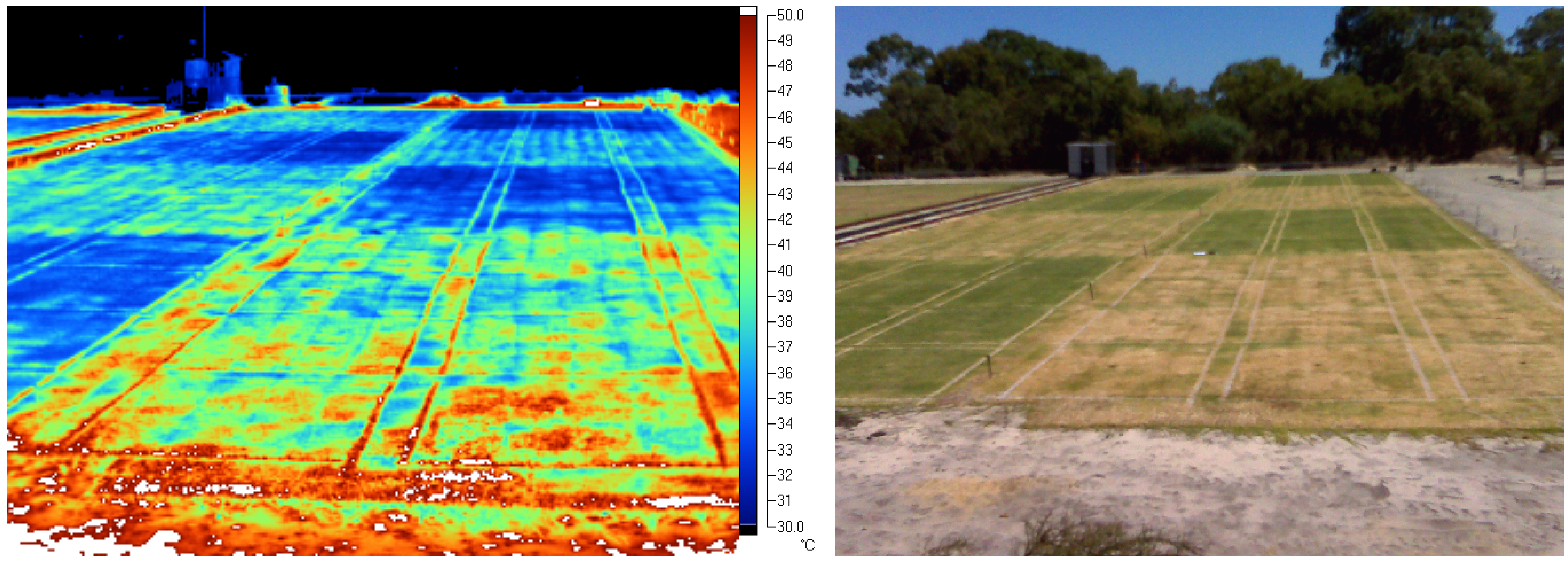 Computer Vision phenotyping