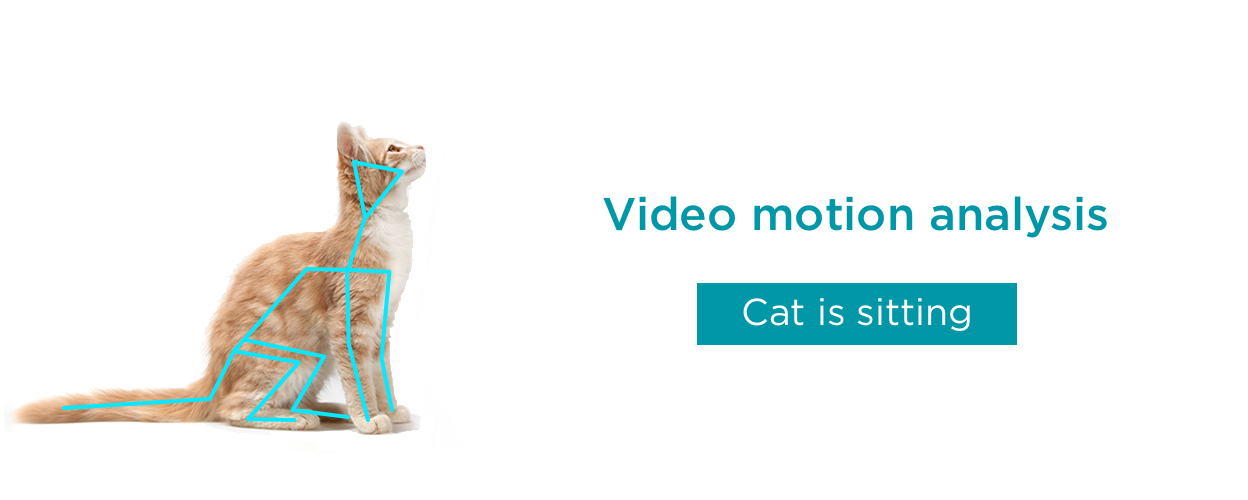 Video Motion Analysis
