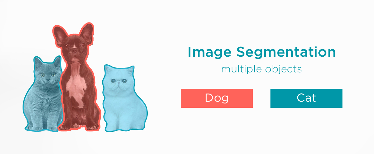 Image Segmentation Computer Vision