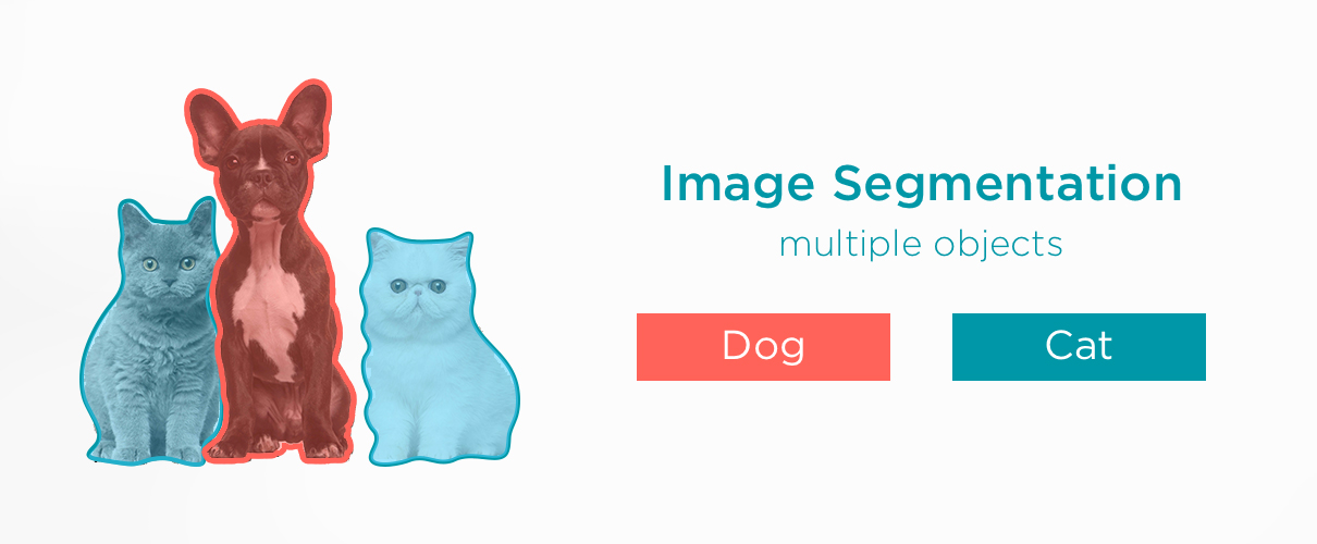 Computer Vision Image Segmentation