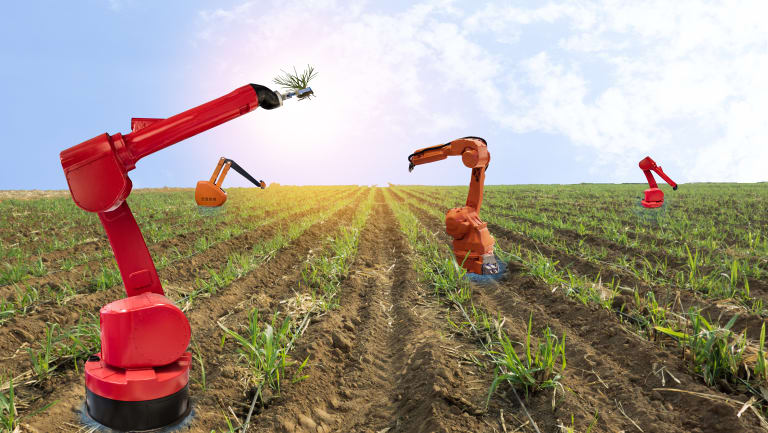 Computer Vision in Precision Agriculture