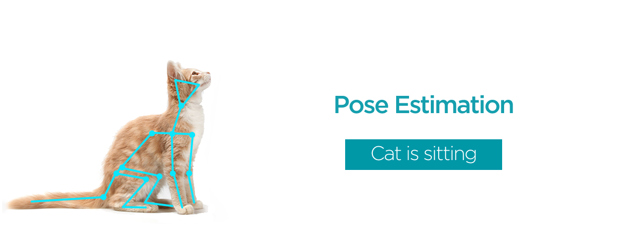 Pose Estimation