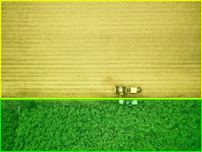 Crop Monitoring Computer Vision