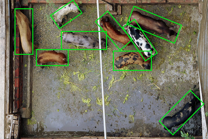Agriculture Computer Vision