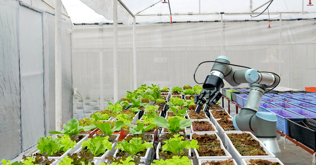 Computer Vision in Agriculture Automation