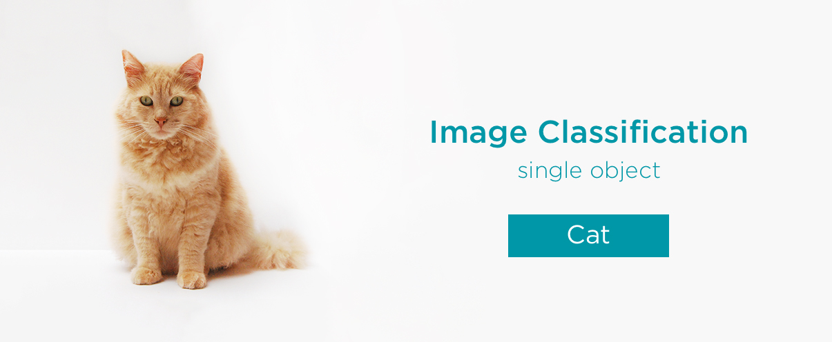 Image Classification